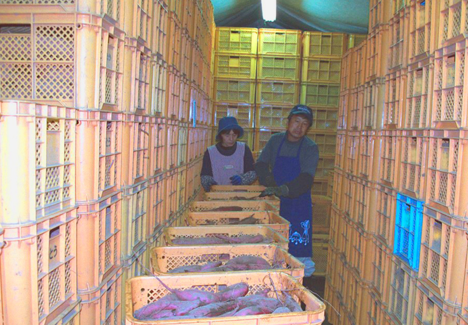 甘み：イメージ