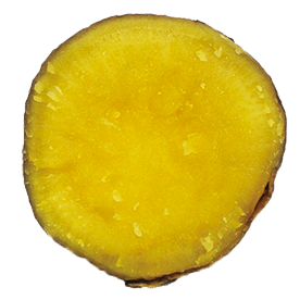 さつまいも:イメージ