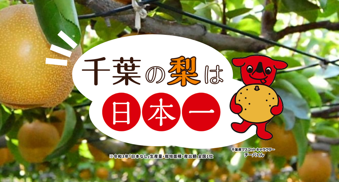 千葉の梨は日本一